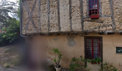 REFLEXOLOGUE Isabelle Tissinier, Réflexologue à Mirepoix