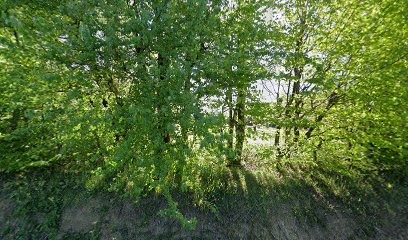 Réflexologie plantaire chinoise-Marie GAGETTA, Réflexologue à Tonneins